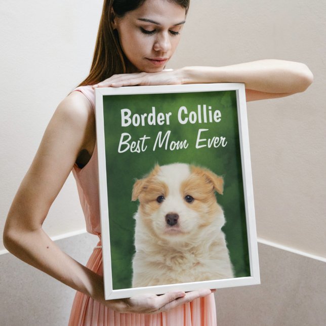 Border Collie Best Mãe Poster (Criador carregado)