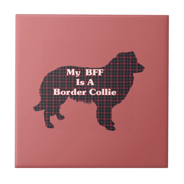 Border Collie BFF (Frente)