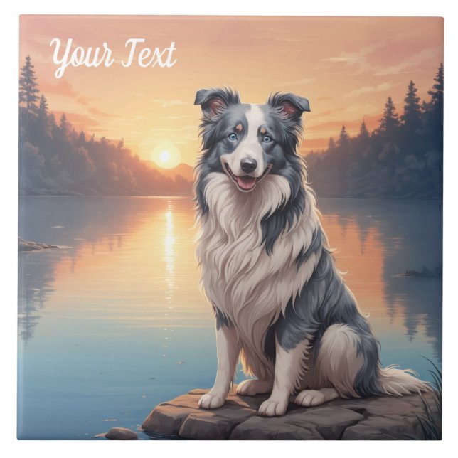 Border Collie Blue Merle junto ao lago (Frente)