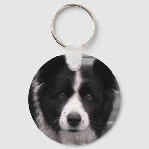 Border Collie Chaveiro