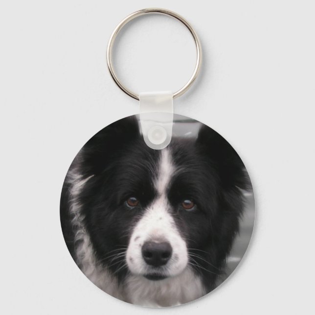 Border Collie Chaveiro (Frente)