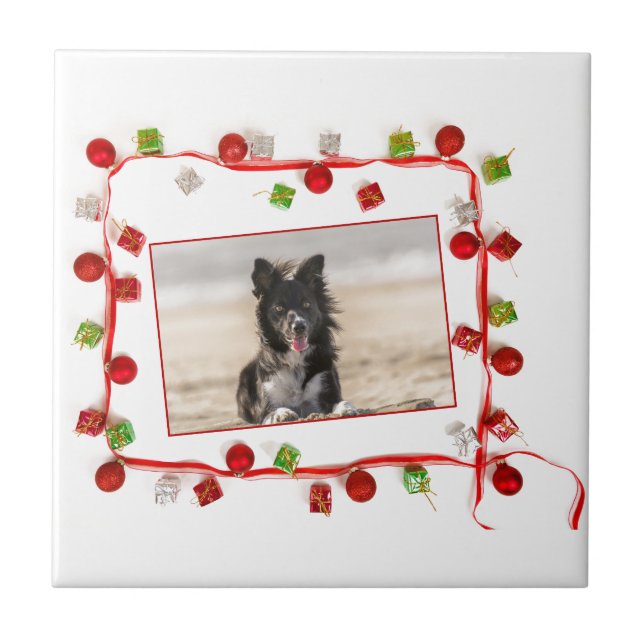 Border Collie Christmas (Frente)