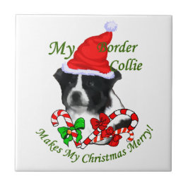Border Collie Christmas