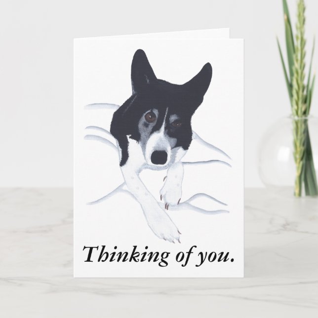 Border Collie Dog Pensando em seus Cartões (Frente)