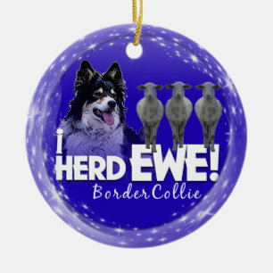 Border collie eu REUNO ENFEITES DE NATAL dos