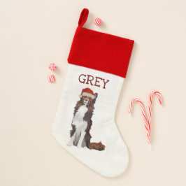 BORDER COLLIE FESTIVO
