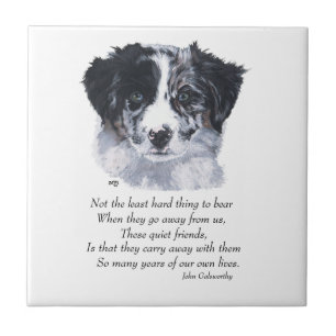 Border Collie Keepsakes