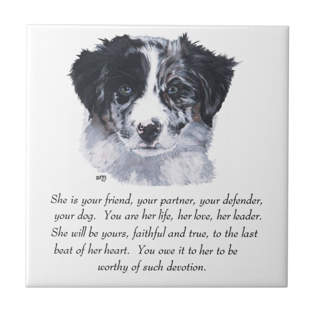 Border Collie Keepsakes (Frente)