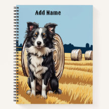 Border Collie na Fazenda