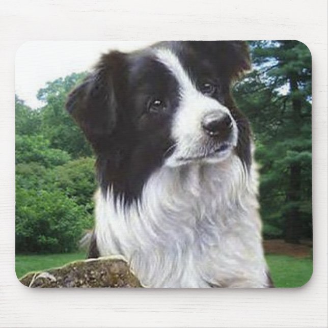 Border collie no mousepad do parque (Frente)