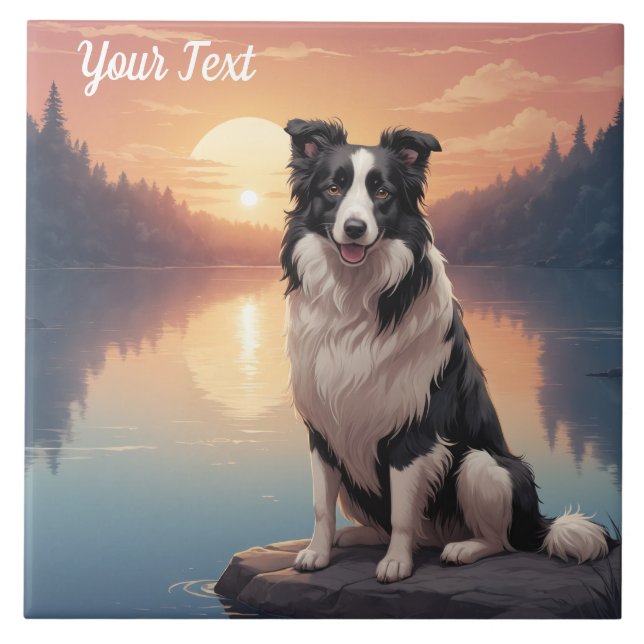 Border Collie por Lago (Frente)