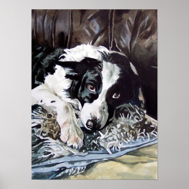 Border Collie Poster (Frente)