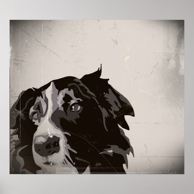 Border Collie urban no. 1 art poster (Frente)
