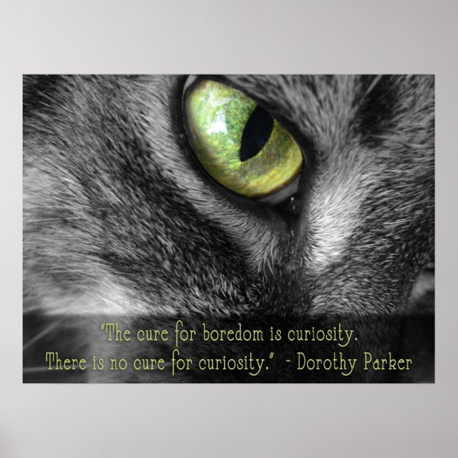 Boredom - Curiosity, Dorothy Parker quote poster (Frente)
