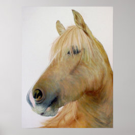`Boris' Fineart Horse Poster
