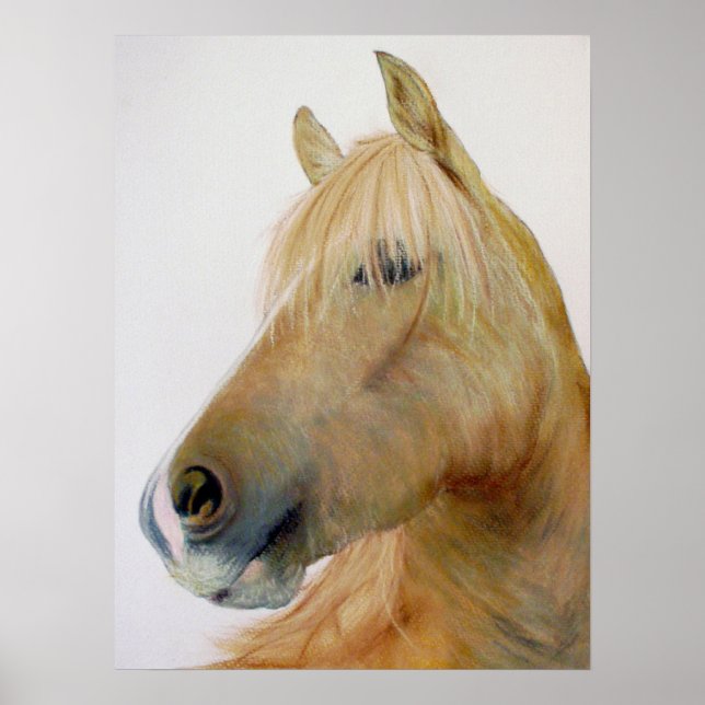`Boris' Fineart Horse Poster (Frente)