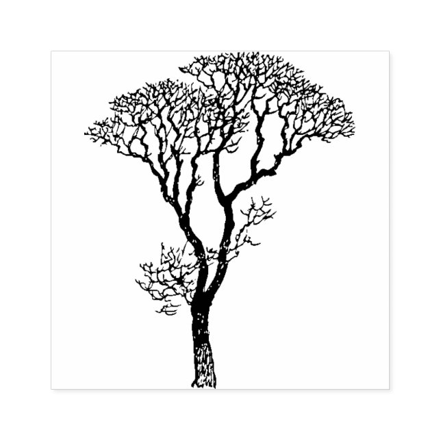 Borracha Carimbo de Árvore Africano 4 Passaporte Safari Emb (Impressão)