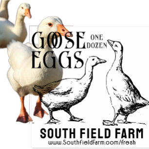 Borracha Carimbo de Fazenda de OVOS, DUCK ou GOOSE