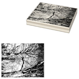 Borracha Carimbo de Foto de Árvores