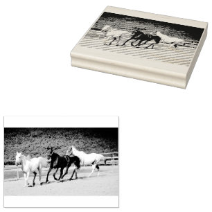 Borracha Carimbo de Três Cavalos