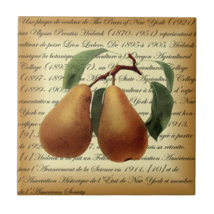 Bosc Pears~Léon Leclerc~Ulisses Prentiss Hedrick~