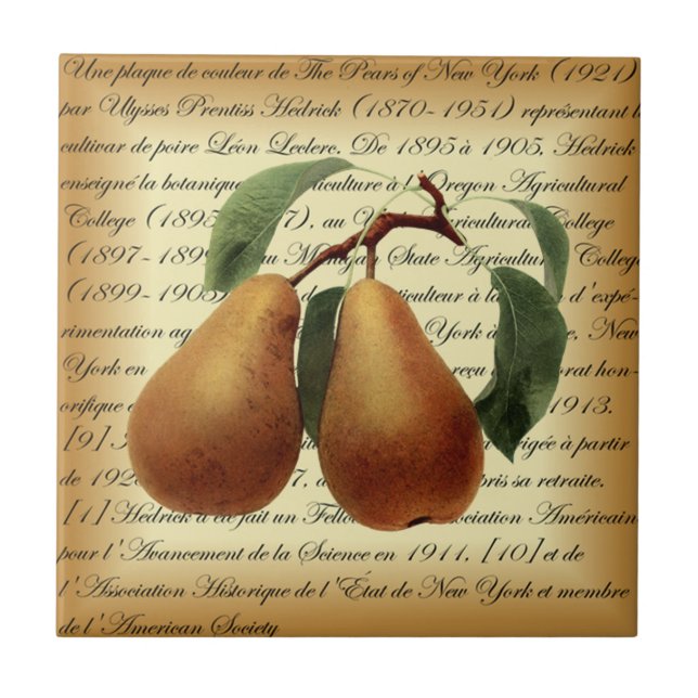Bosc Pears~Léon Leclerc~Ulisses Prentiss Hedrick~ (Frente)