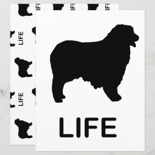 bosque australiano com dois lados