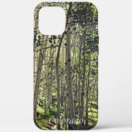Bosque Encantador de Álamos em Crested Butte