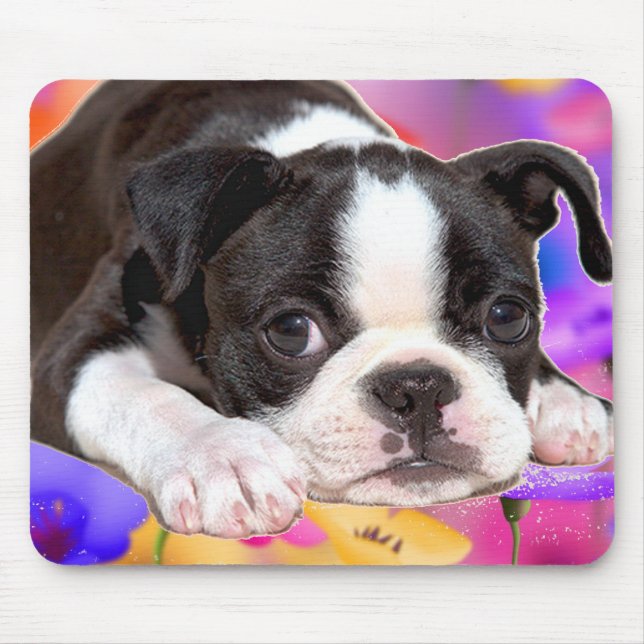 Boston preto e branco Terrier Mousepad (Frente)