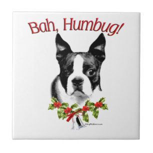 Boston Terrier Bah Humbug