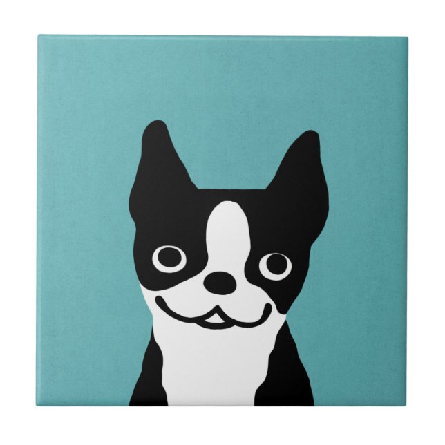 Boston Terrier bonito (Frente)