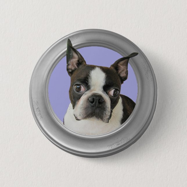 BOSTON TERRIER BOTON (Frente)