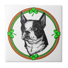 Boston Terrier Dia de São Patrício