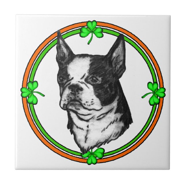 Boston Terrier Dia de São Patrício (Frente)