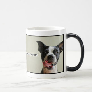 Boston Terrier eu amo a caneca de café
