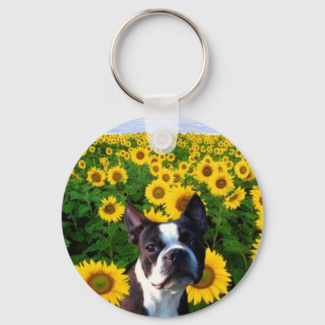 Boston Terrier na chaveiro dos Sunflower (Frente)
