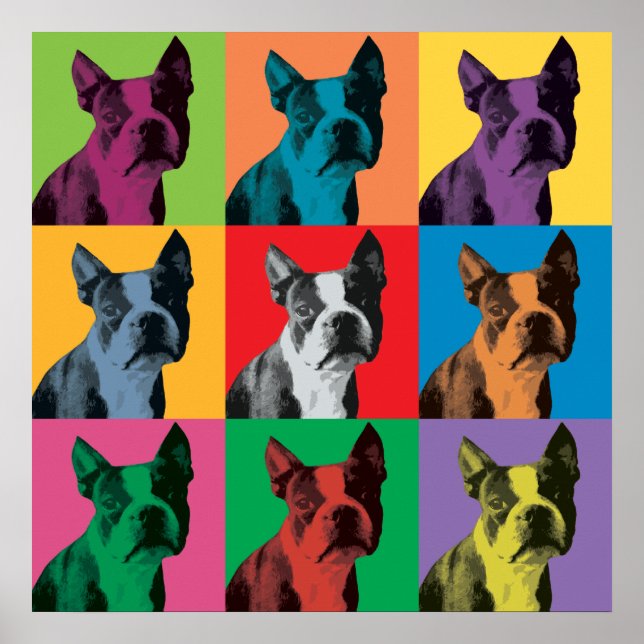 Boston Terrier Pop-Art Poster (Frente)