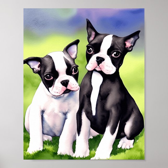 Boston Terrier Puppies Watercolor Art Impressão (Frente)
