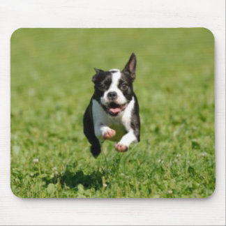 Boston Terrier que funciona Mousepad