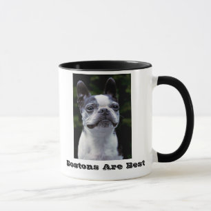 Bostons é a melhor caneca de Boston Terrier