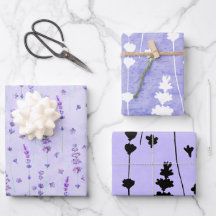 Botânica de Lavanda Elegante