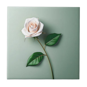 Botânica de Rosa Branca Elegante