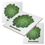 Botânica Natural Fotográfica Suculta Verde<br><div class="desc">Azulejos botânicos,  desenhados pela Nature!,  com uma planta de suculência Echeveria,  verde-fotográfica e fechada. Azulejos naturalmente bonitos para uso como barra invertida,  azulejos de sotaque,  artes e artesanatos,  plantas domésticas ou jardinagem. O texto é personalizável ou pode ser excluído. Esta imagem é uma fotografia botânica original de JLW_PHOTOGRAPHY.</div>