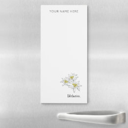 Botânica Personalizada Edelweiss Desenhada À Mão