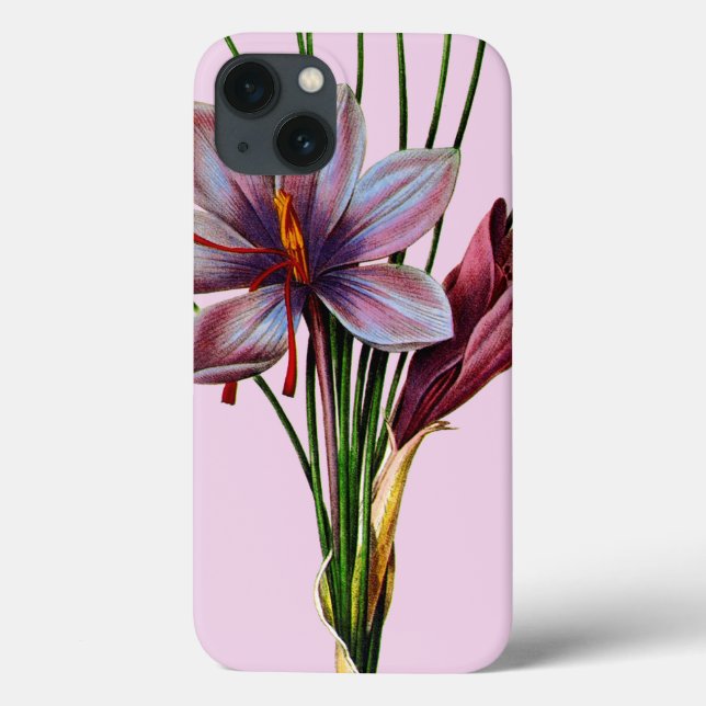 Botânica: Saffron (Verso)
