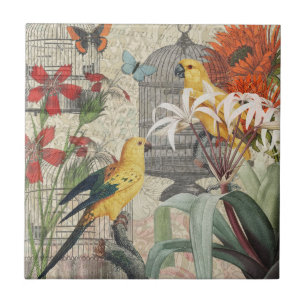 Botânica Vintage de Pássaros Natureza Antiga Tropi