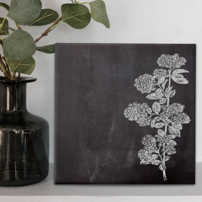 Botânico do quadro do quadro do chalkboard da Boêm (Bohemian Chic french country chalkboard botanical Ceramic Tile)