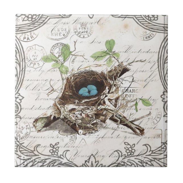 botânico francês do ninho do pássaro das coisas (Frente)