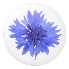 botão azul da porta do córnfo