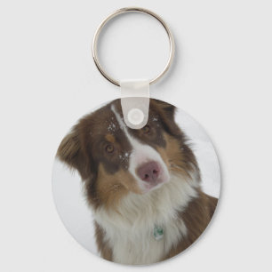 Botão Cachorro de Neve Bonita Chaveiro